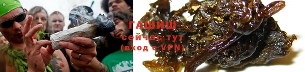 сатива Магас