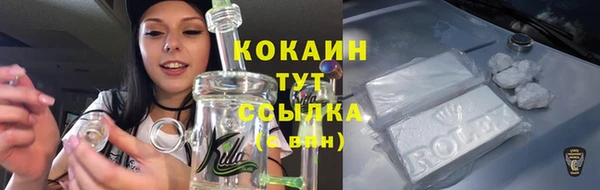 тгк Дмитриев