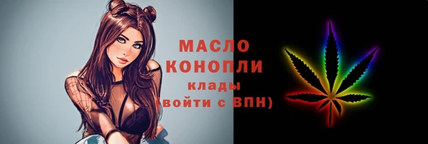 дживик Анжеро-Судженск