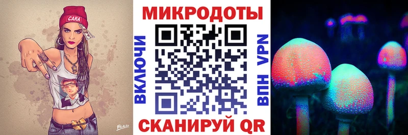 MEGA маркетплейс  Елизово  Галлюциногенные грибы Psilocybe  магазин   