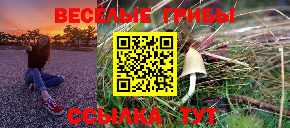 Галлюциногенные грибы Cubensis Елизово