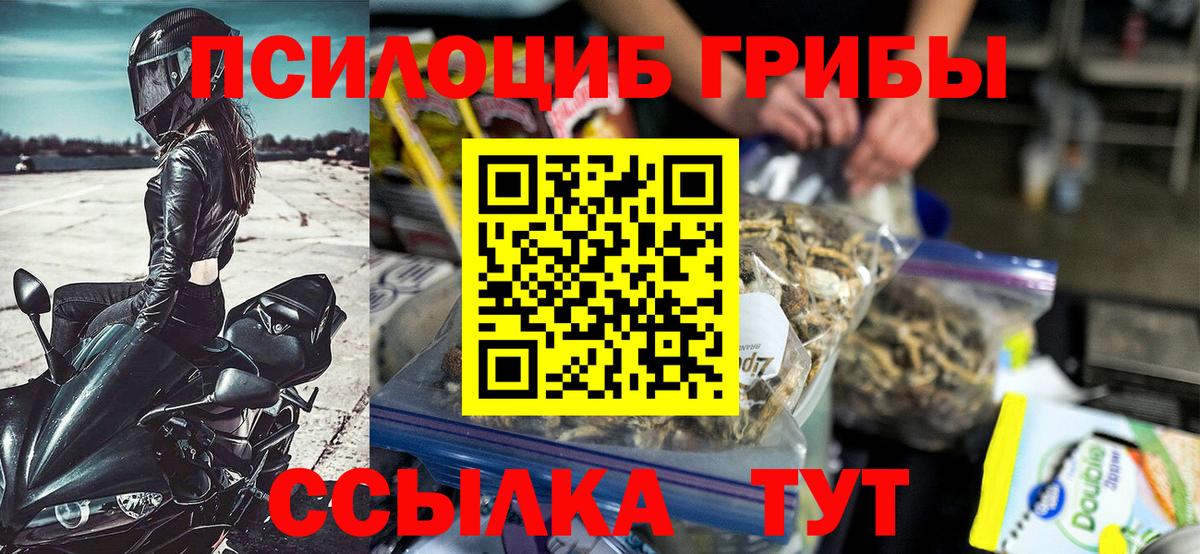 Галлюциногенные грибы GOLDEN TEACHER Елизово