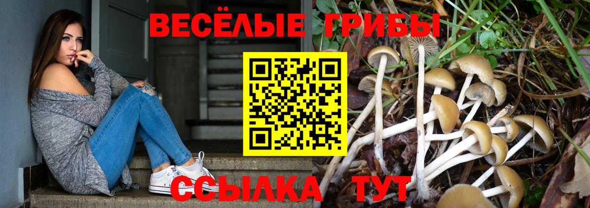 Галлюциногенные грибы мицелий  Вход с VPN  Псилоцибиновые грибы Cubensis  Елизово 